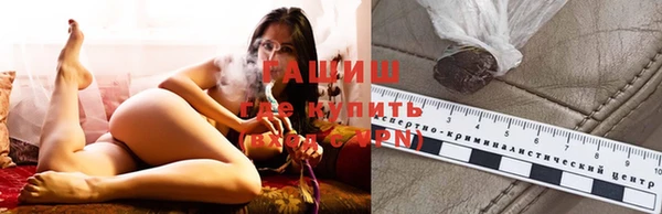 прущие грибы Новокубанск