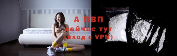 прущие грибы Новокубанск