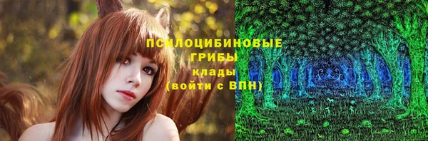 прущие грибы Новокубанск