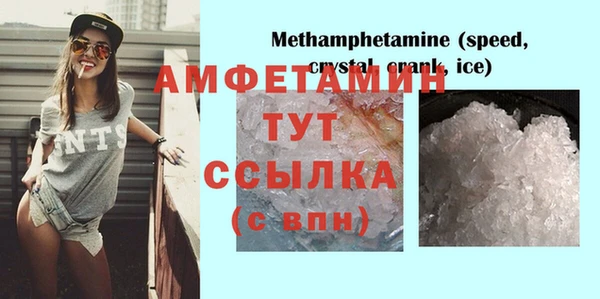 прущие грибы Новокубанск