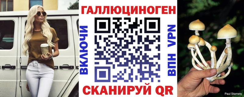KRAKEN ТОР  Зеленогорск  Псилоцибиновые грибы ЛСД 