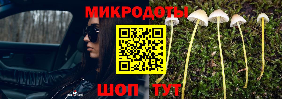 Зеленогорск  Псилоцибиновые грибы мицелий  Вход с VPN 