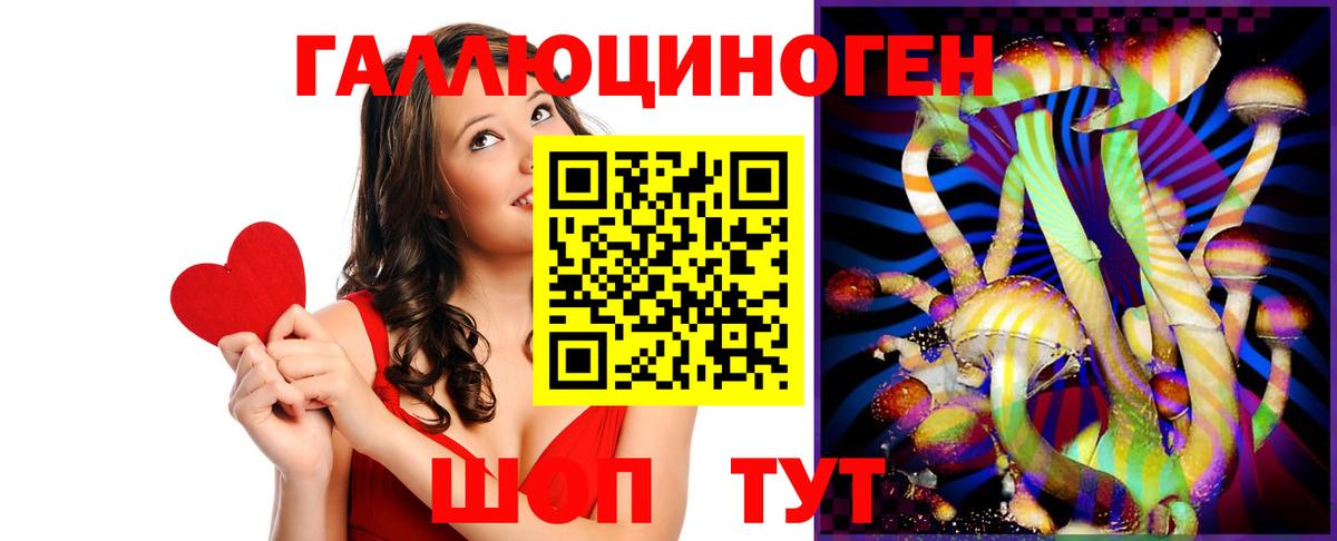 Псилоцибиновые грибы мицелий Зеленогорск