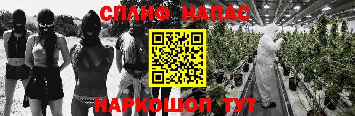 Каннабис планчик  МАРИХУАНА тримм  Вход с VPN  Канабис VHQ  Зеленогорск  Конопля ГИДРОПОН 